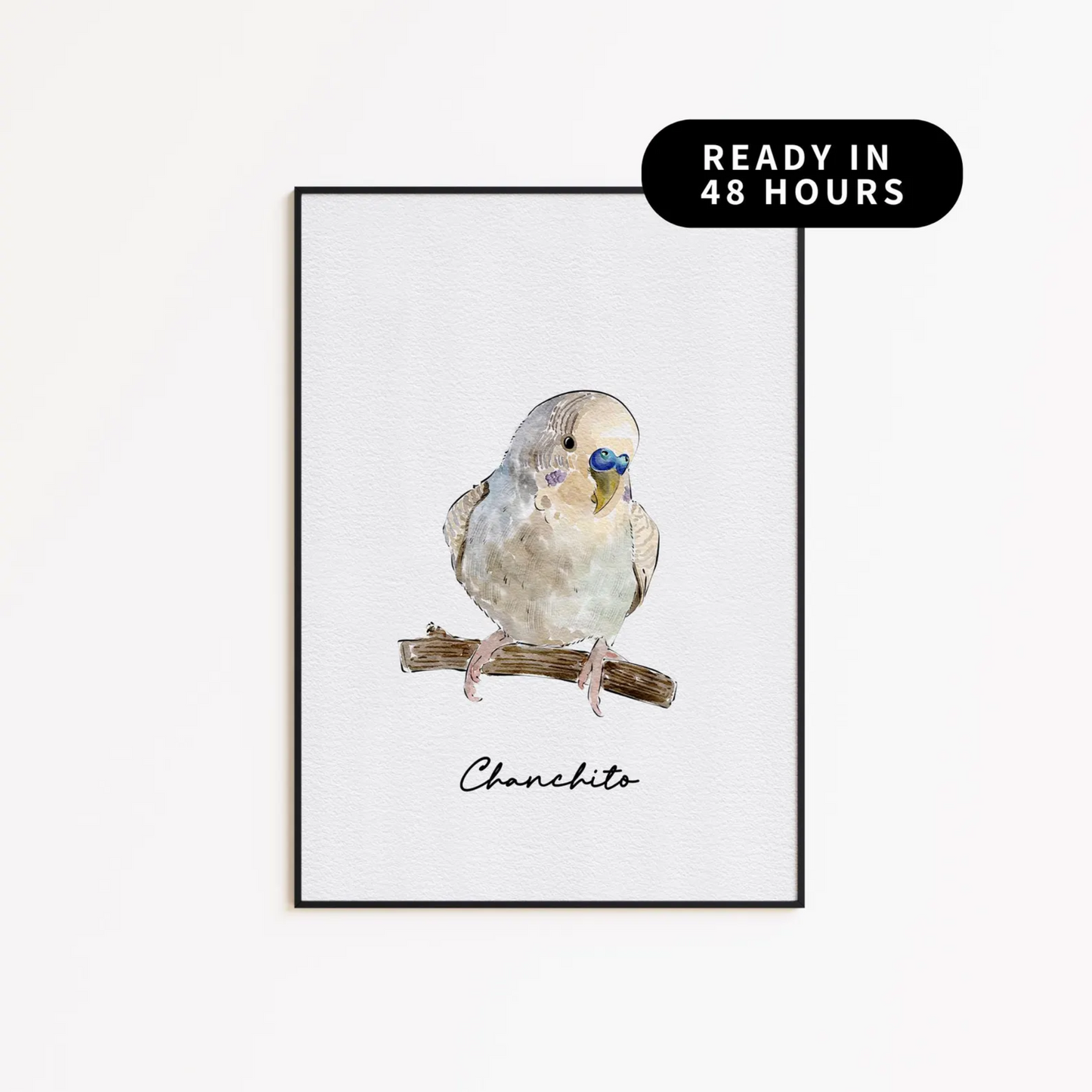 Minimal Hand Drawn Watercolor Pet Portraits